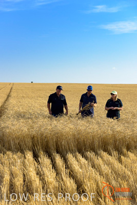 December 2017 / ECKERT_104_171219