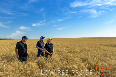 December 2017 / ECKERT_106_171219