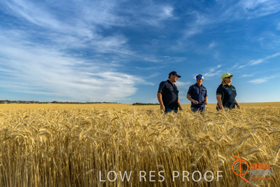 December 2017 / ECKERT_109_171219