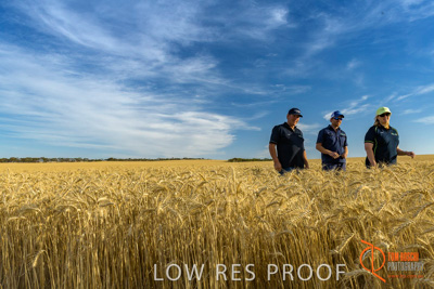 December 2017 / ECKERT_110_171219