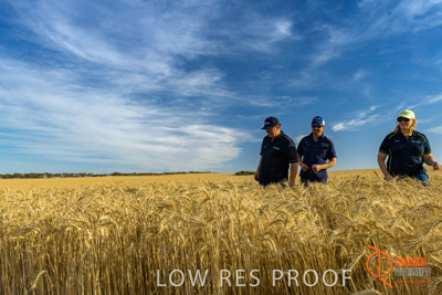 December 2017 / ECKERT_112_171219