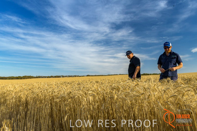 December 2017 / ECKERT_113_171219