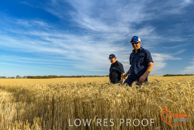 December 2017 / ECKERT_116_171219