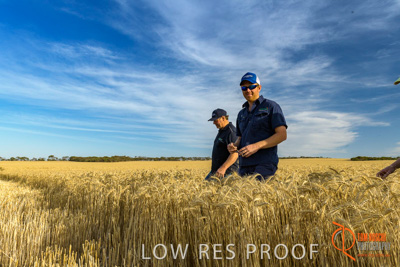 December 2017 / ECKERT_117_171219