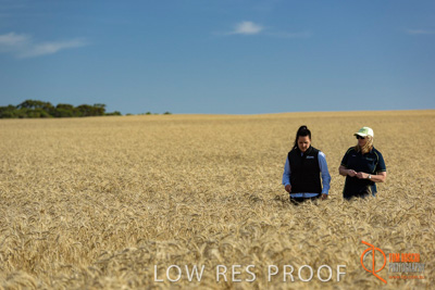 December 2017 / FARMER_VITERRA_STAFF_008_171219