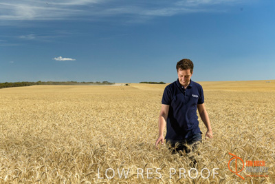 December 2017 / GLENCORE_STAFF_WHEAT_FIELD_006_171219