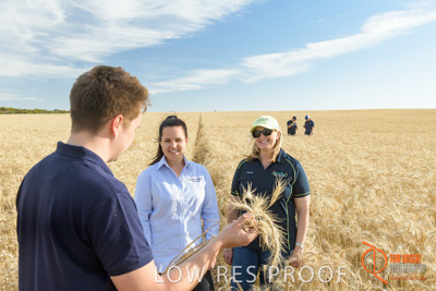 December 2017 / GLENCORE_STAFF_WHEAT_FIELD_023_171219