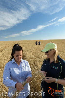 December 2017 / GLENCORE_STAFF_WHEAT_FIELD_041_171219