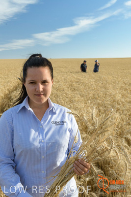 December 2017 / GLENCORE_STAFF_WHEAT_FIELD_058_171219