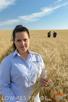 December 2017 / GLENCORE_STAFF_WHEAT_FIELD_059_171219