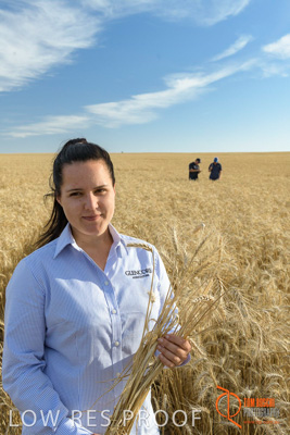 December 2017 / GLENCORE_STAFF_WHEAT_FIELD_060_171219