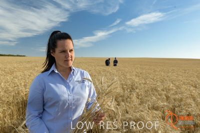 December 2017 / GLENCORE_STAFF_WHEAT_FIELD_069_171219