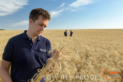 December 2017 / GLENCORE_STAFF_WHEAT_FIELD_076_171219