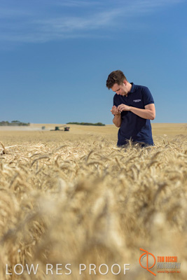 December 2017 / GLENCORE_STAFF_WHEAT_FIELD_088_171219