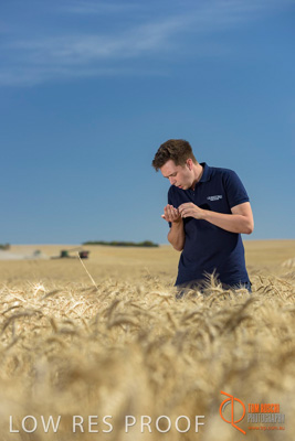 December 2017 / GLENCORE_STAFF_WHEAT_FIELD_089_171219