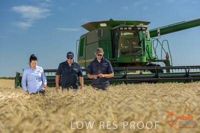 December 2017 / GLENCORE_STAFF_WHEAT_FIELD_099_171219