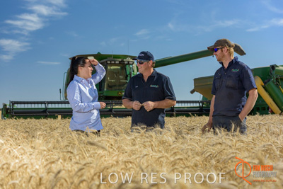 December 2017 / GLENCORE_STAFF_WHEAT_FIELD_103_171219