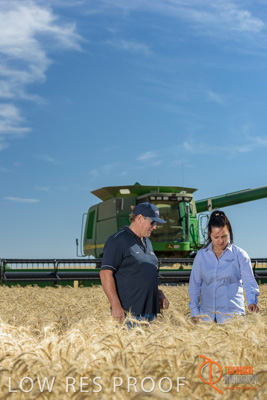 December 2017 / GLENCORE_STAFF_WHEAT_FIELD_107_171219