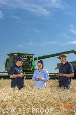 December 2017 / GLENCORE_STAFF_WHEAT_FIELD_109_171219