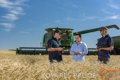 December 2017 / GLENCORE_STAFF_WHEAT_FIELD_111_171219