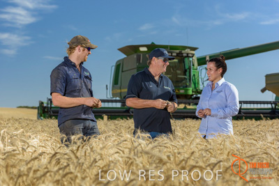 December 2017 / GLENCORE_STAFF_WHEAT_FIELD_113_171219