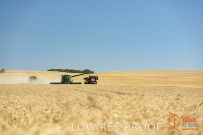 December 2017 / HARVESTING_WHEAT_003_171219