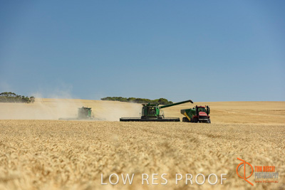 December 2017 / HARVESTING_WHEAT_006_171219