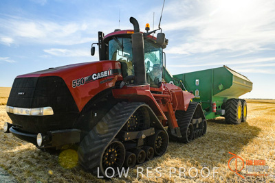 December 2017 / HARVESTING_WHEAT_025_171219