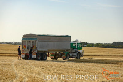 December 2017 / HARVESTING_WHEAT_030_171219