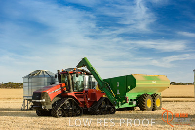 December 2017 / HARVESTING_WHEAT_056_171219