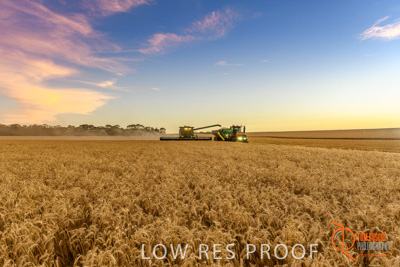 December 2017 / HARVESTING_WHEAT_073_171219
