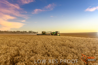 December 2017 / HARVESTING_WHEAT_074_171219