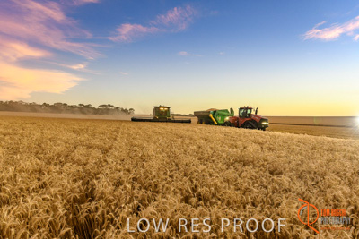 December 2017 / HARVESTING_WHEAT_075_171219