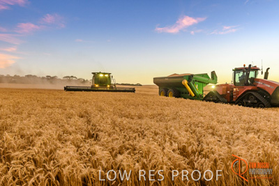 December 2017 / HARVESTING_WHEAT_095_171219