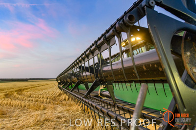 December 2017 / HARVESTING_WHEAT_103_171219