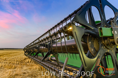 December 2017 / HARVESTING_WHEAT_104_171219