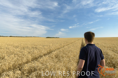 December 2017 / MALE_IN_WHEAT_FIELD_001_171219