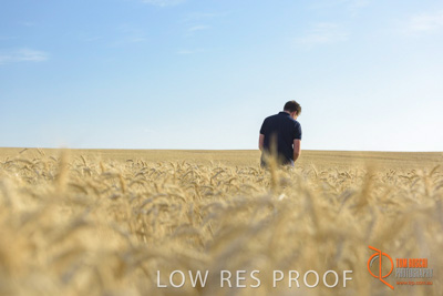 December 2017 / MALE_IN_WHEAT_FIELD_020_171219