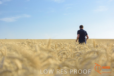 December 2017 / MALE_IN_WHEAT_FIELD_023_171219