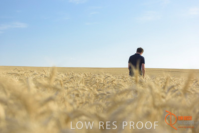 December 2017 / MALE_IN_WHEAT_FIELD_025_171219