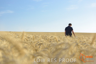 December 2017 / MALE_IN_WHEAT_FIELD_026_171219