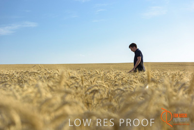 December 2017 / MALE_IN_WHEAT_FIELD_027_171219