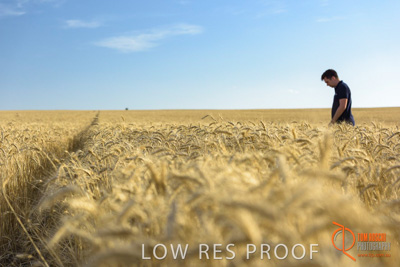 December 2017 / MALE_IN_WHEAT_FIELD_028_171219