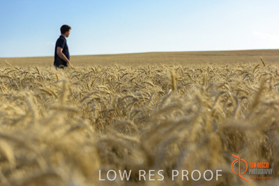 December 2017 / MALE_IN_WHEAT_FIELD_034_171219