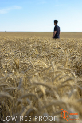 December 2017 / MALE_IN_WHEAT_FIELD_041_171219
