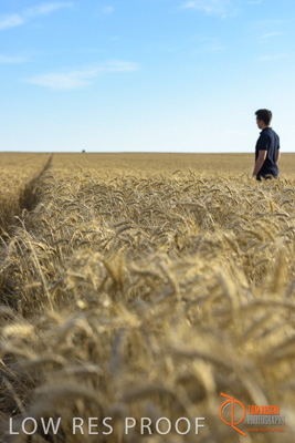 December 2017 / MALE_IN_WHEAT_FIELD_043_171219