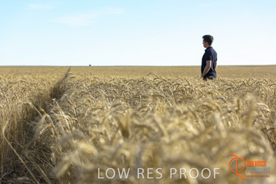 December 2017 / MALE_IN_WHEAT_FIELD_044_171219