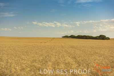 December 2017 / WHEAT_027_171219