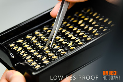 June 2018 / LAB_defect_count_blk_tray_female-male_180601_049