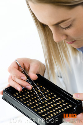 June 2018 / LAB_defect_count_blk_tray_female-male_180601_056